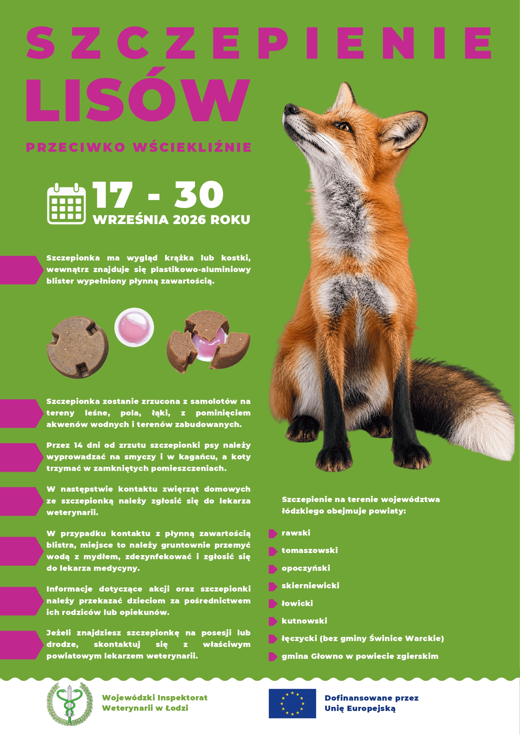 Plakat informujący o akcji szczepienia lisów przeciwko wściekliźnie od 17 do 30 września 2026 roku.