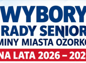 Napis Wybory do Rady Seniorów na lata 2026-2029